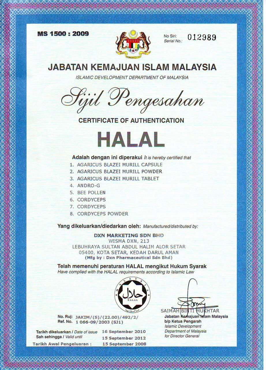 photo_2024-02-08_20-09-43